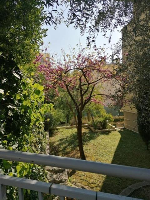 Villa Soraya , Quiet Location With Big Garden Near Beach And Old Town Of Nice Dış mekan fotoğraf