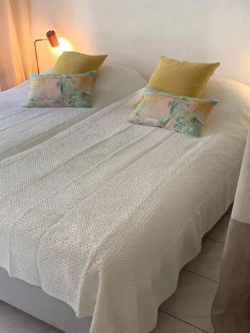 Villa Soraya , Quiet Location With Big Garden Near Beach And Old Town Of Nice Dış mekan fotoğraf